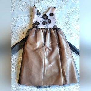 NWOT Girls size 6 Tulle Dress, Fit and Flare. Floral embroidery, fully lined.